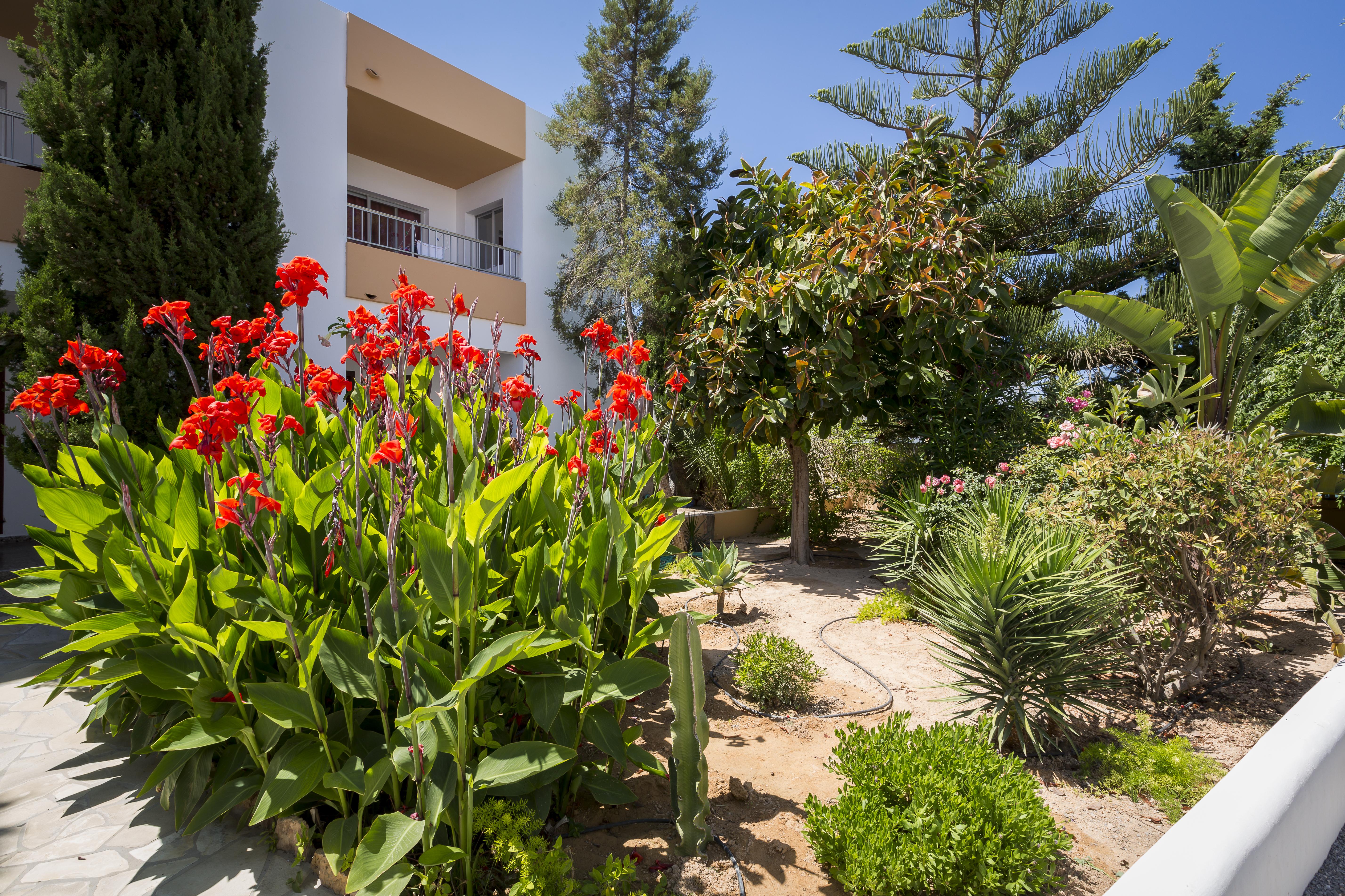 Sant Antoni de Portmany Apartamentos Zodiac מראה חיצוני תמונה